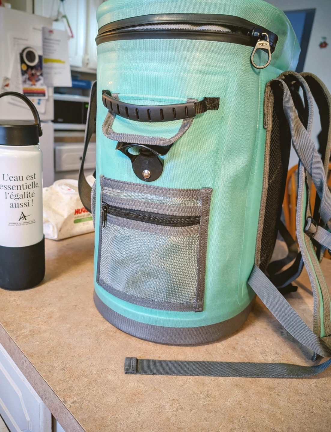 FEActive Teal Insulated Cooler Backpack - photo 2