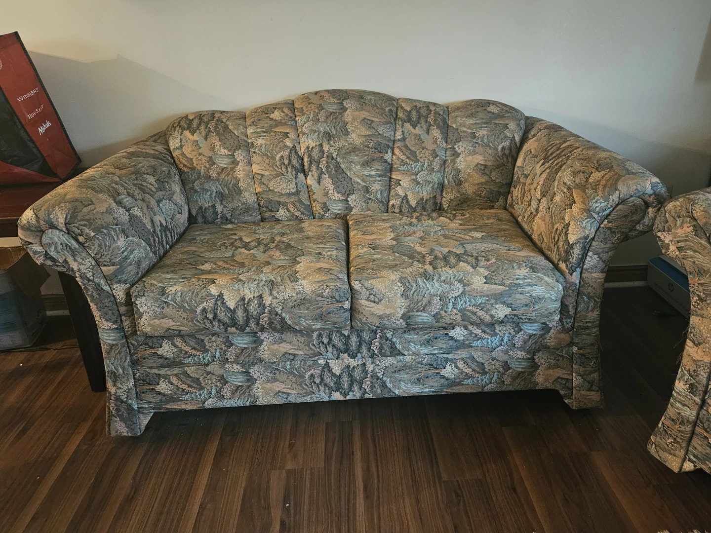 Patterned Armchair & Loveseat Set 🥕 - photo 3