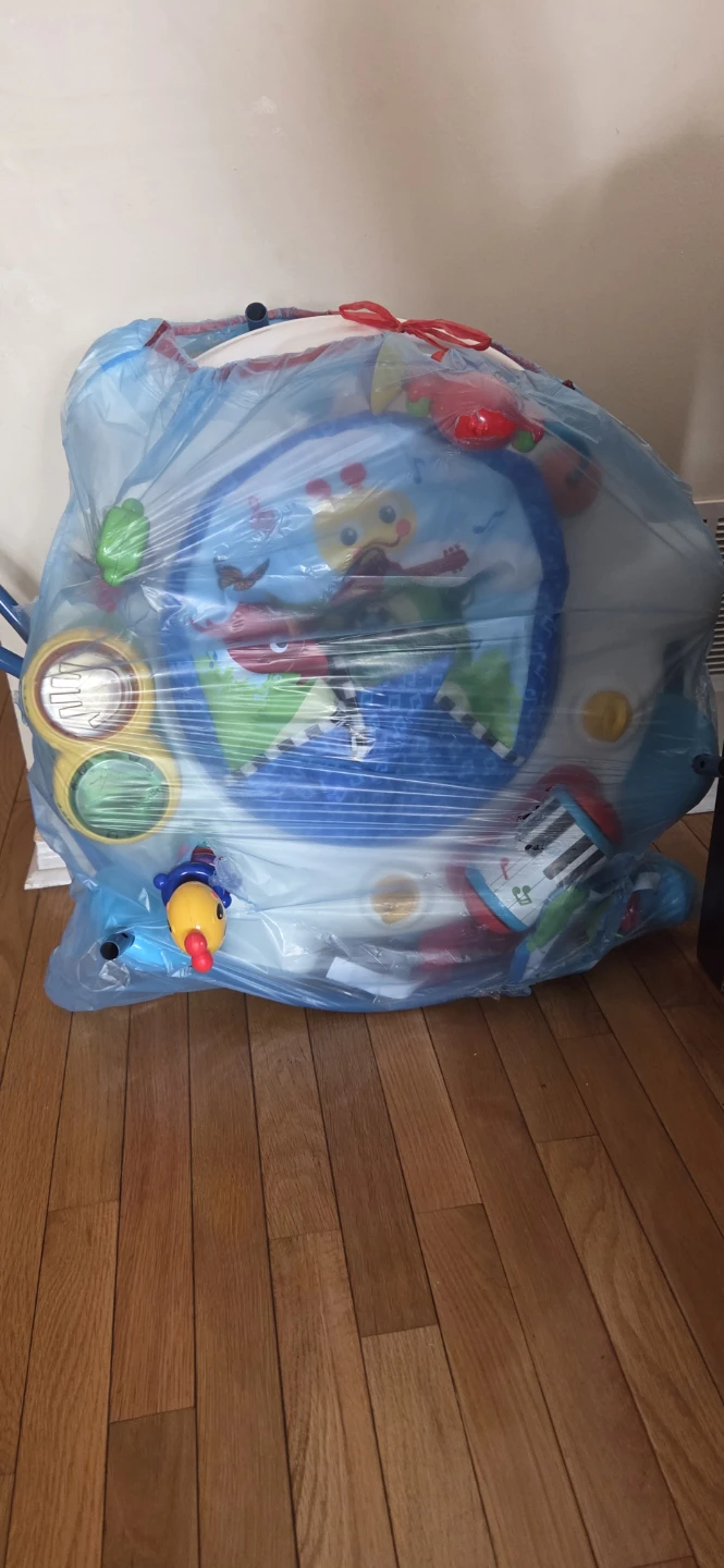 Baby Einstein Musical Motion Activity Jumper - photo 2