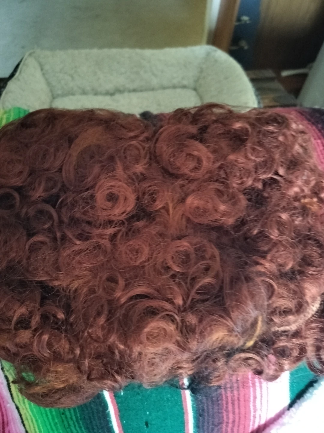 Winifred Sanderson Costume - photo 3