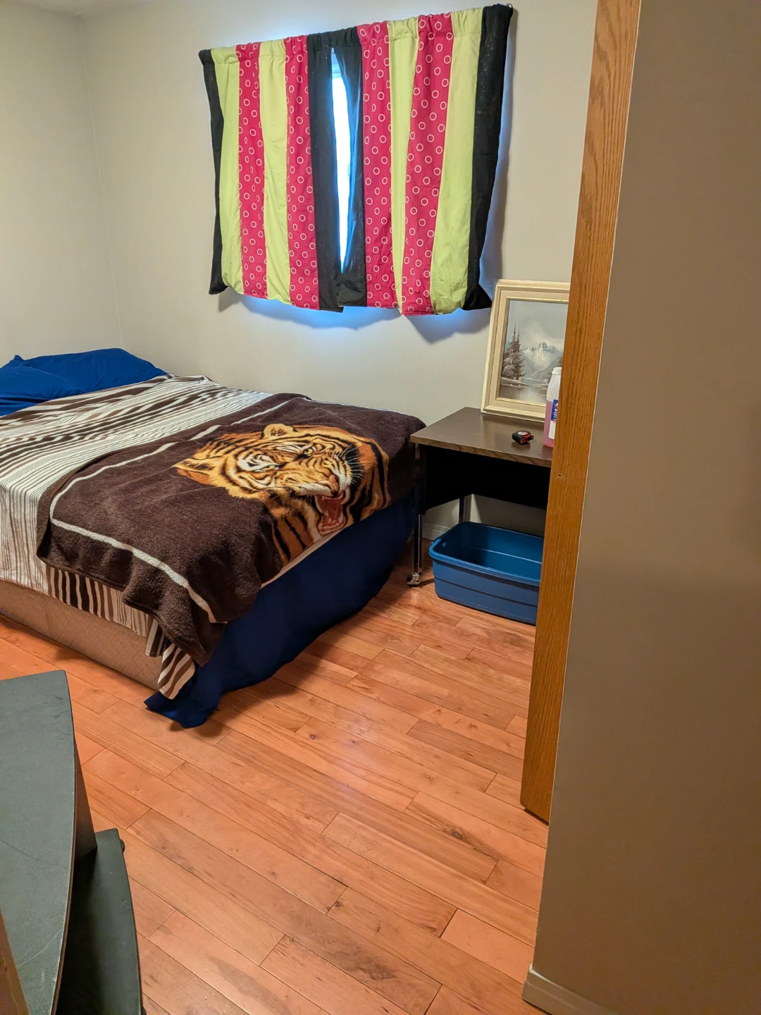 Room for rent - photo 2