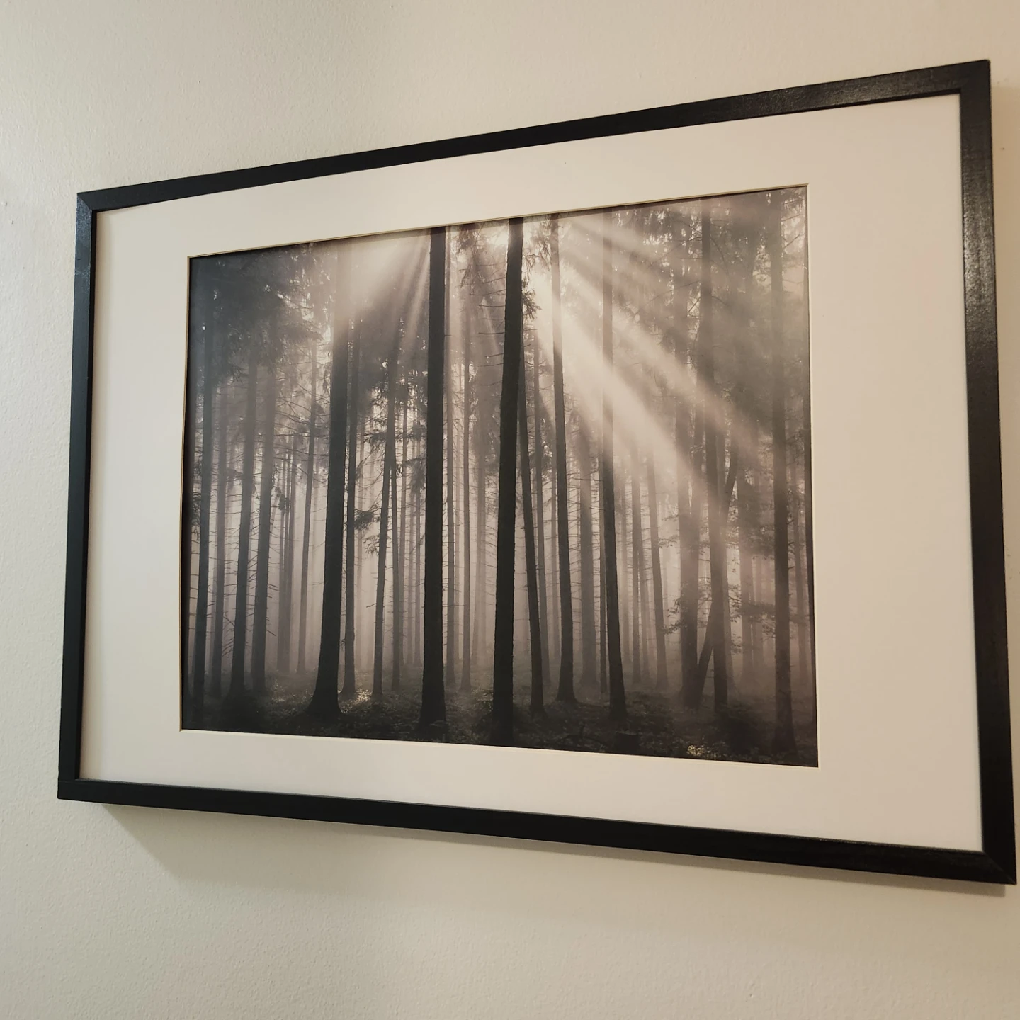 Framed Forest Landscape Wall Art