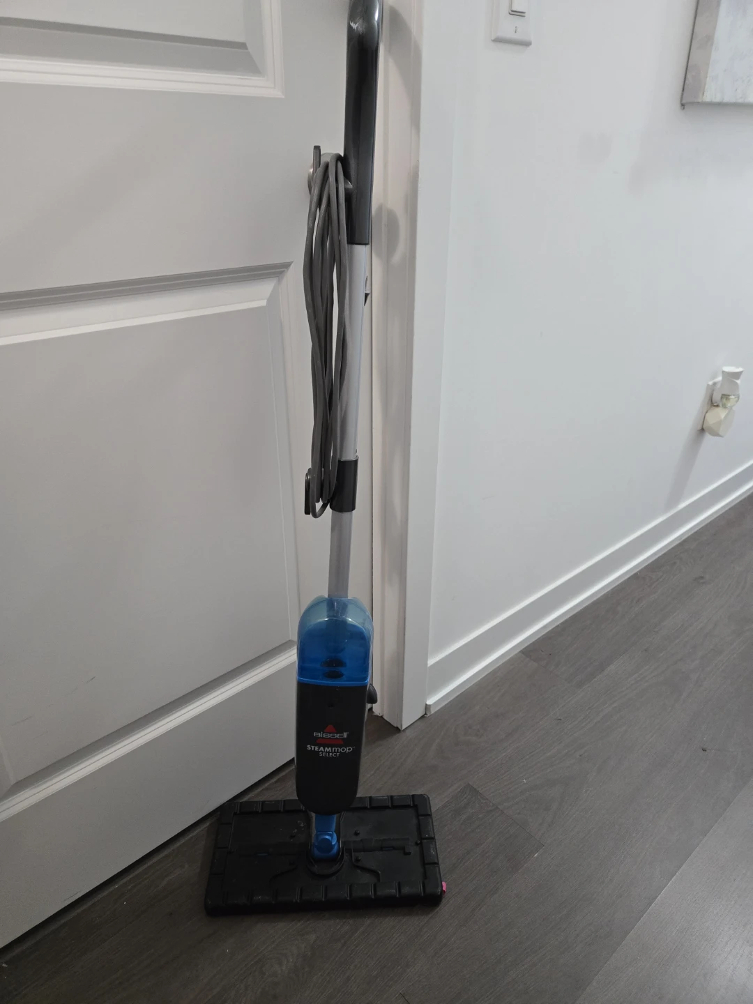 Bissell Steam Mop Select - photo 2