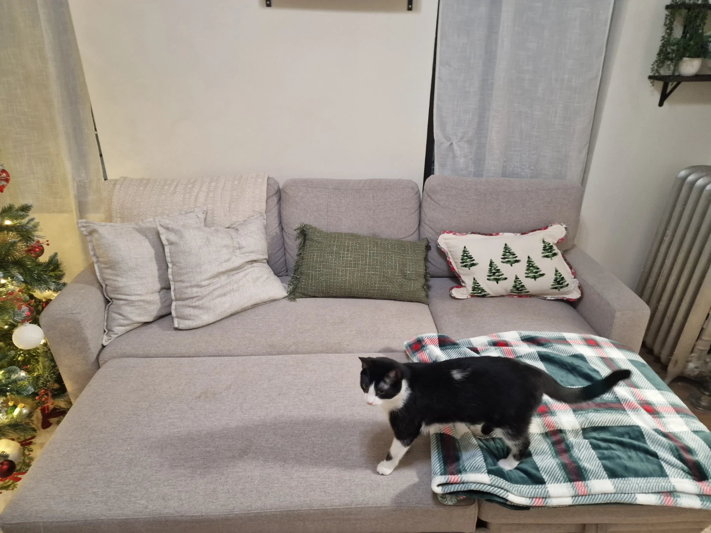 Reversible Sectional Sofa with Storage - photo 4