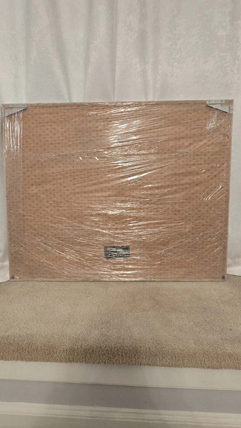 Framebridge Framed Lion Art - photo 2