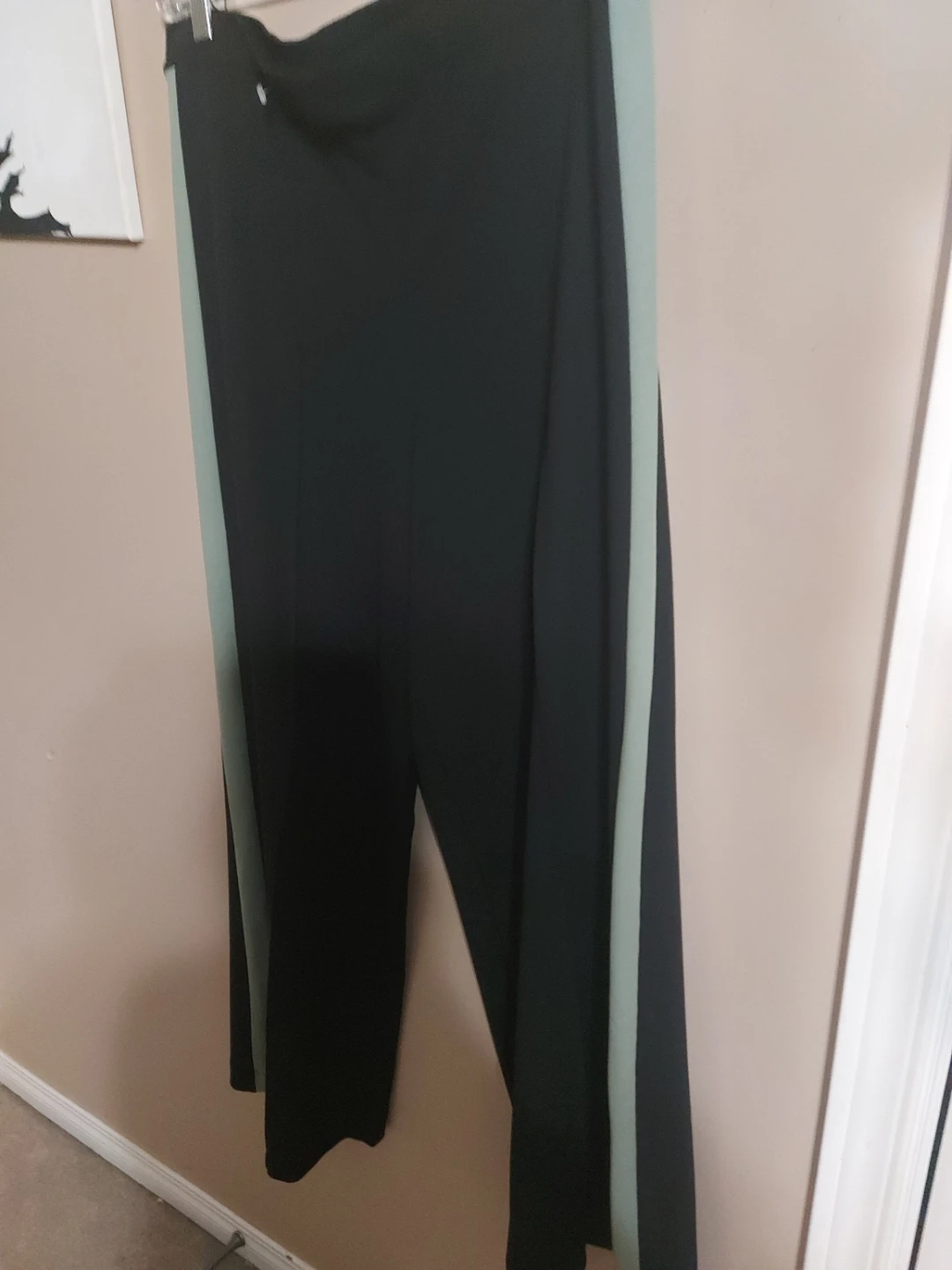 Black Pants with Mint Green Stripe