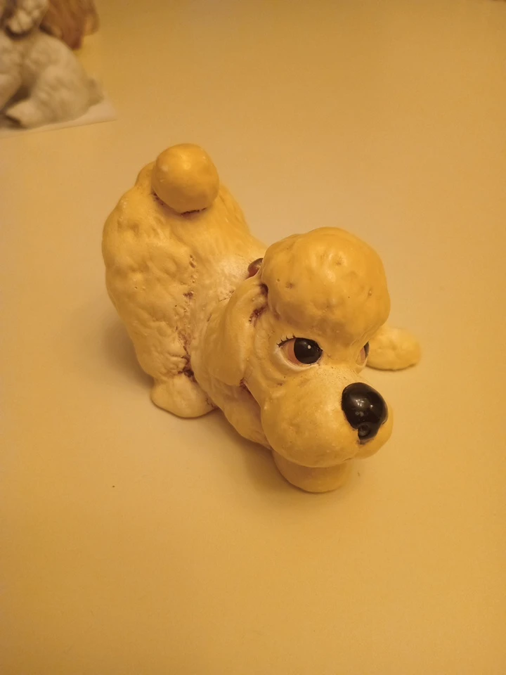 Vintage playful dog
