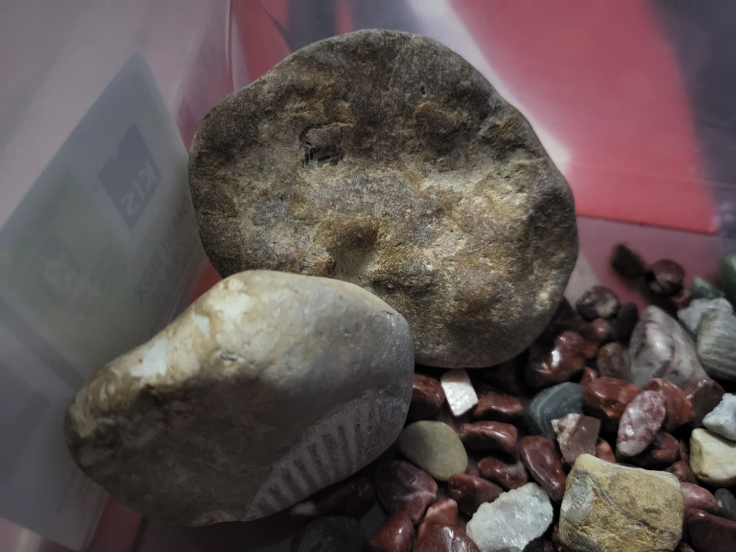 Assorted Crystals and fossils collection - photo 2