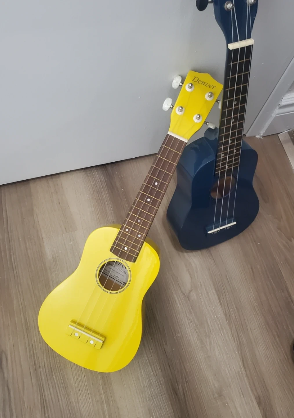 Denver Ukuleles (Blue and Yellow) with Cases