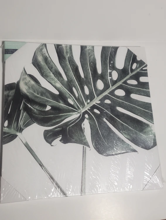 York & Lane Oil Canvas - Monstera Leaf - 16x16 (2)