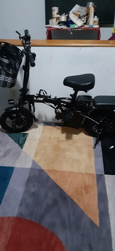 HILOIE H-4 Electric Bike - Compact & Foldable