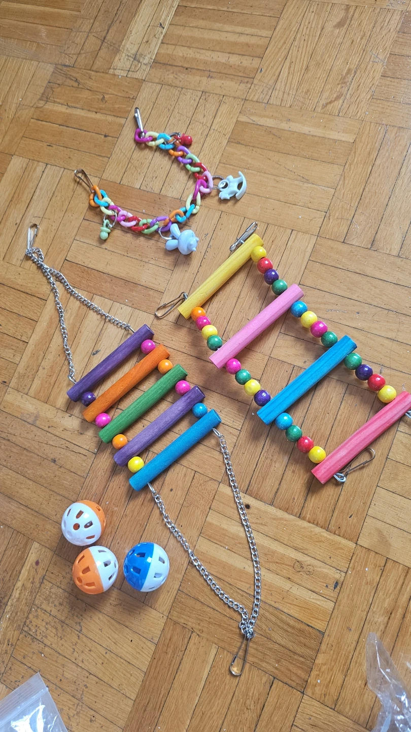 Bird Cage Swing Set with Chew Toys