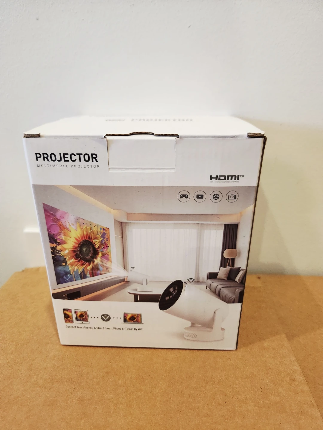 Multimedia Projector.