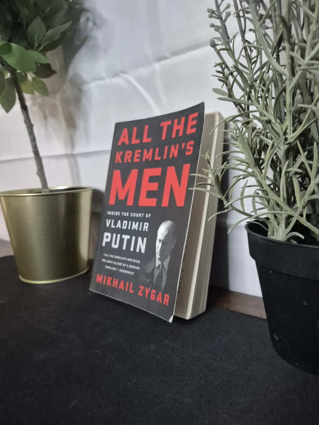 All the Kremlin's Men: Inside the Court of Vladimir Putin