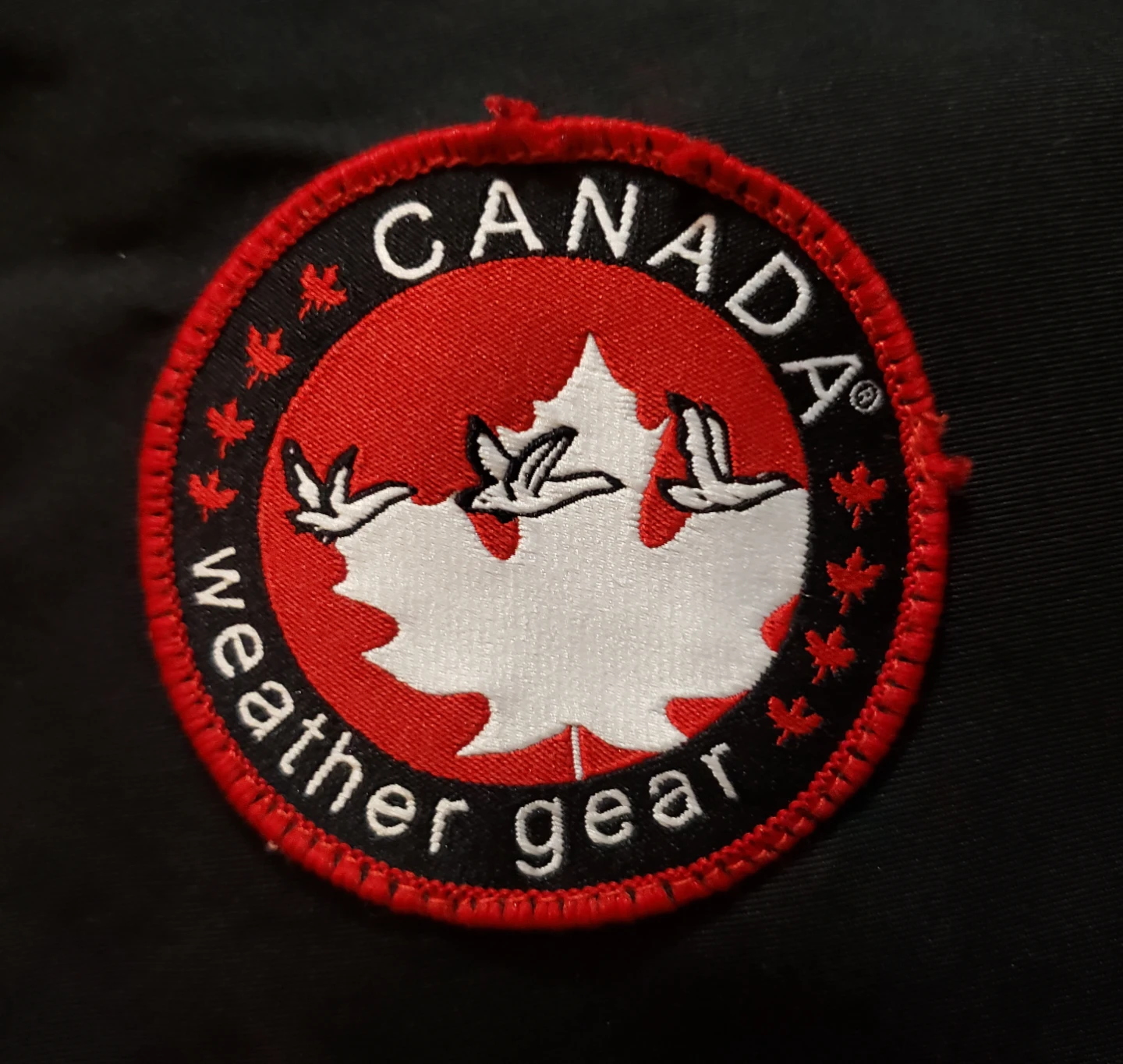Canada Weathergear Yachting Jacket - photo 2