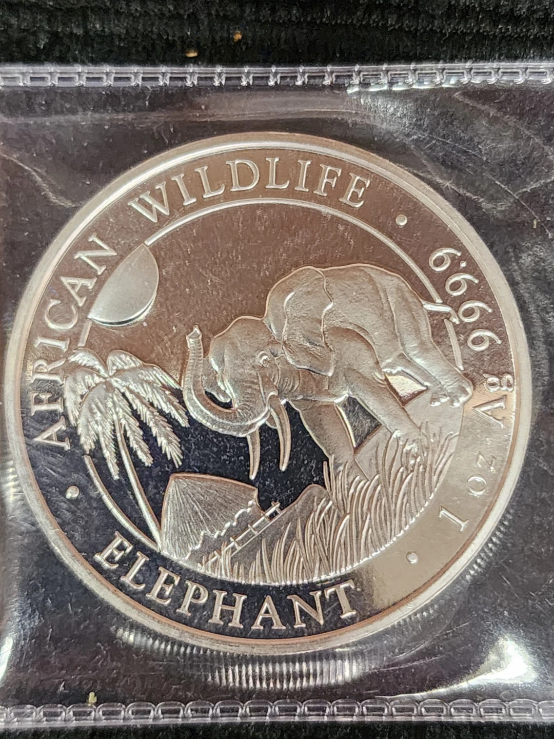 African Wildlife Elephant 2017 1oz Silver Coin