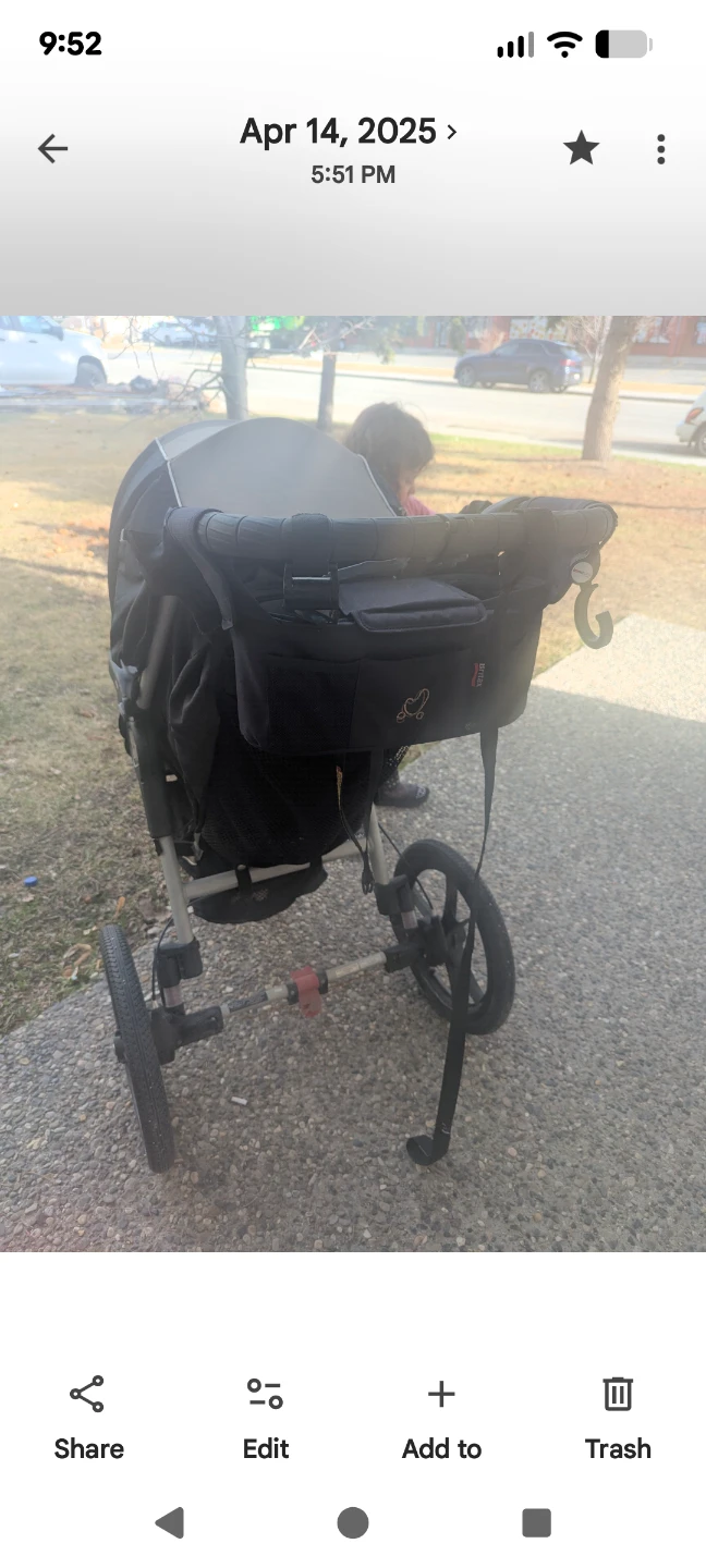 Baby Jogger Summit XC Stroller - photo 3