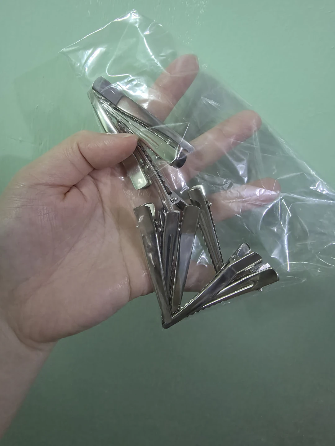 Metal Alligator Hair Clips - Pack of 10