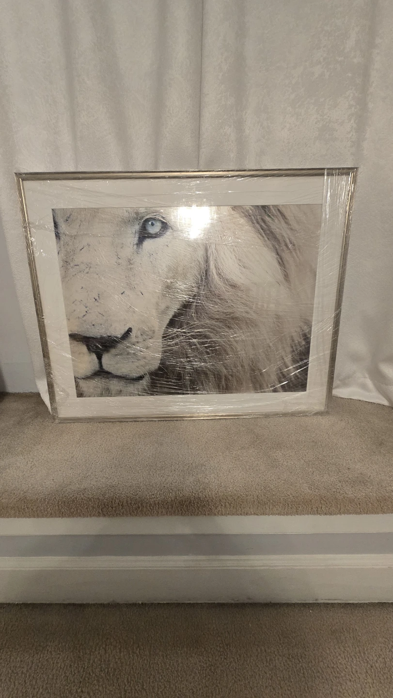 Framebridge Framed Lion Art