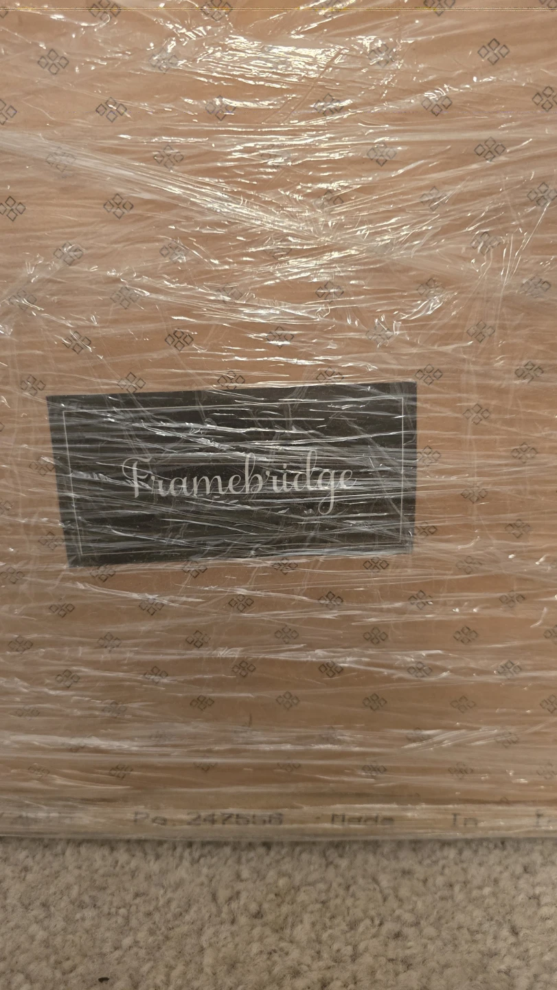 Framebridge Framed Lion Art - photo 3