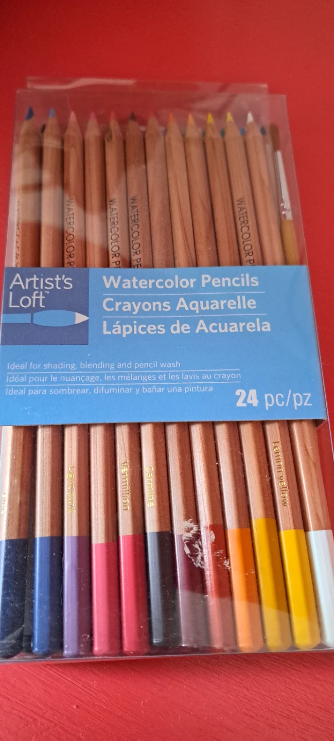 Artist's Loft Watercolor Pencils - 24 pack