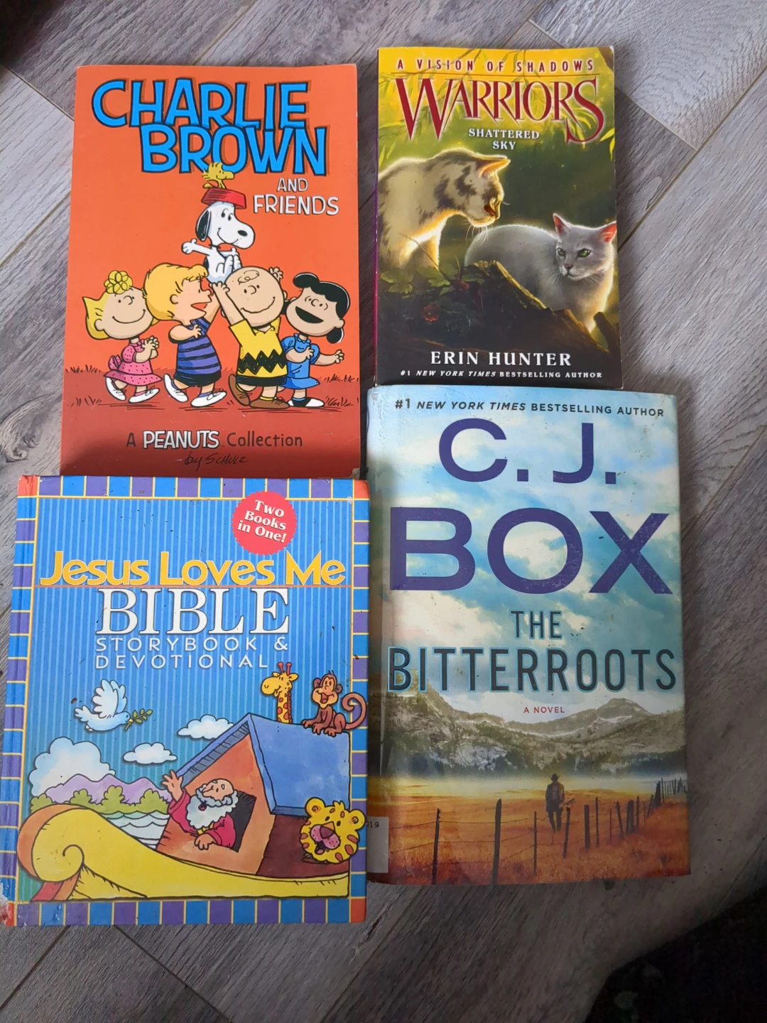 Kids & Adult Books Bundle - photo 4