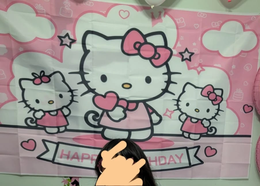 Hello Kitty birthday Party Supplies