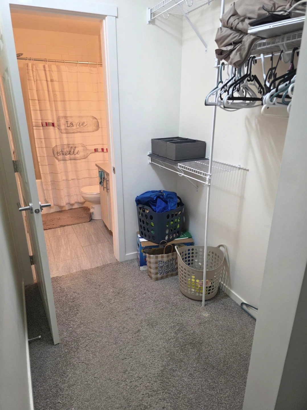 2 bedroom 2 bathroom apartment - photo 4