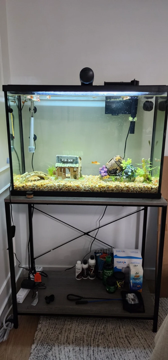 30 Gallon Aquarium Fish Tank + Accessories  - photo 2