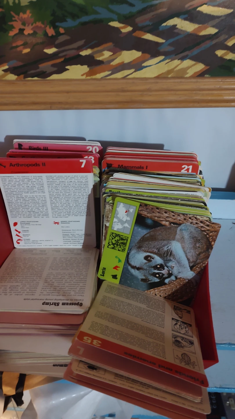 Vintage Educational Animal & Science Cards
