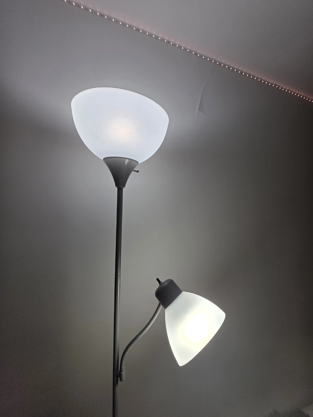 Floor Lamp with Adjustable Reading Light