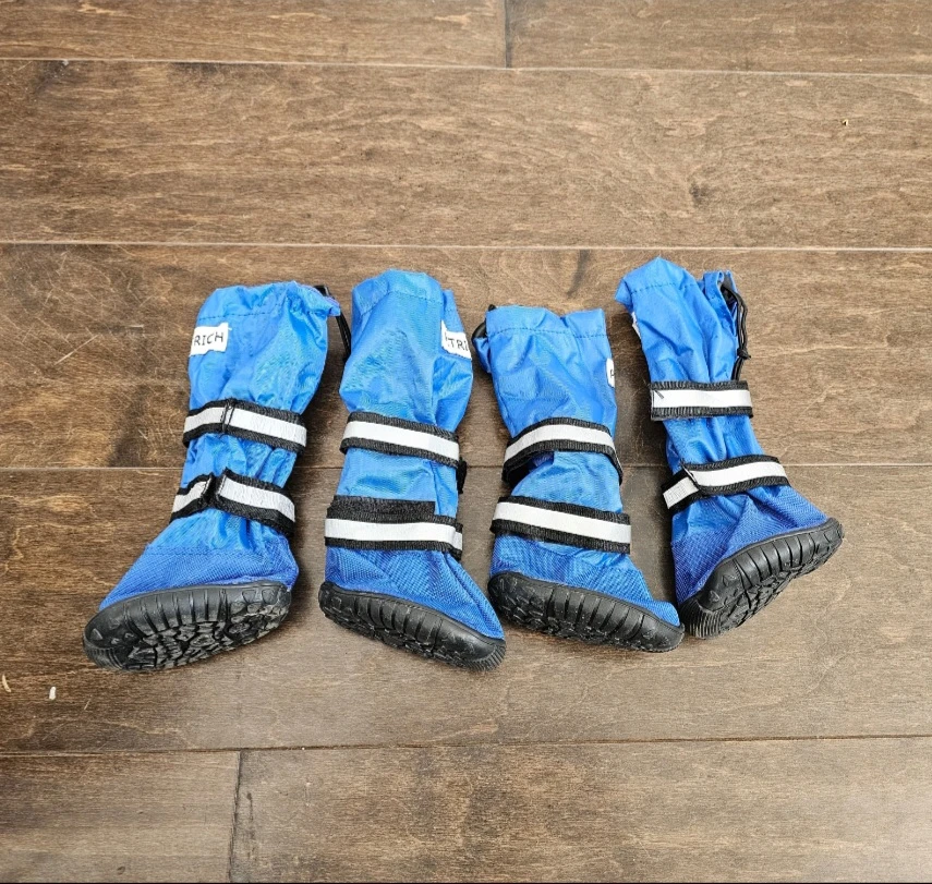 Winter boots for dog (New never used)