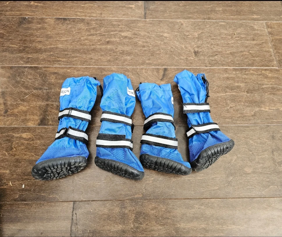 Winter boots for dog (New never used) - photo 2