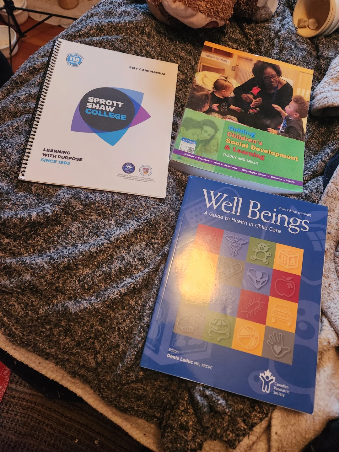 Bundle of Early Childhood Education Textbooks - photo 3