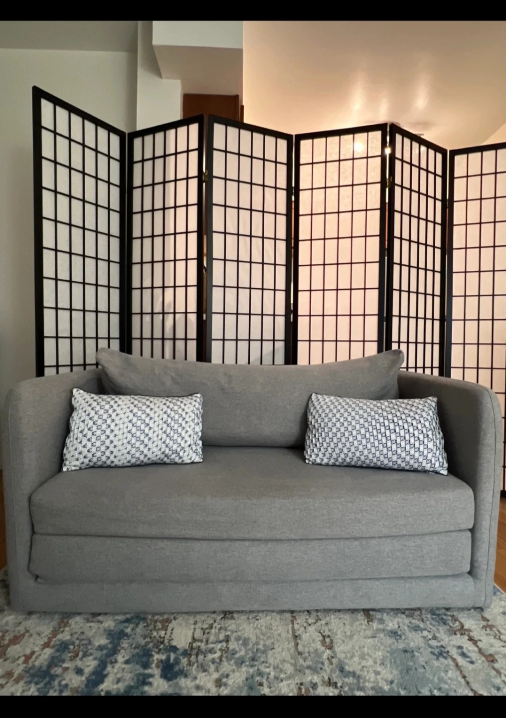 🥕 Sleeper Sofa – Perfect for Kids, Dorms, or Guest Light Use