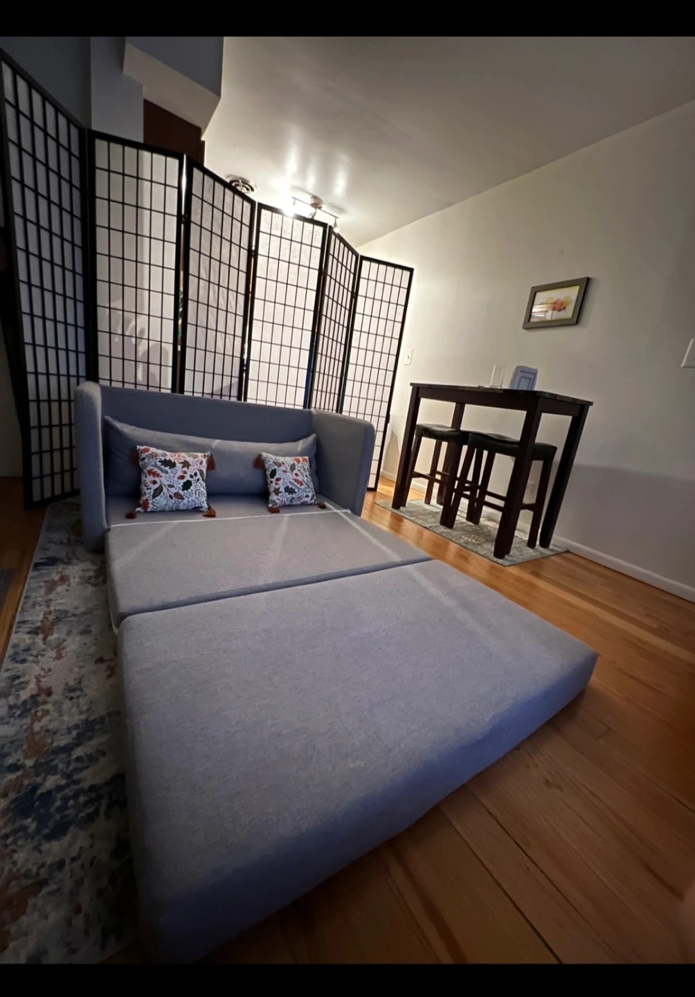 🥕 Sleeper Sofa – Perfect for Kids, Dorms, or Guest Light Use - photo 3