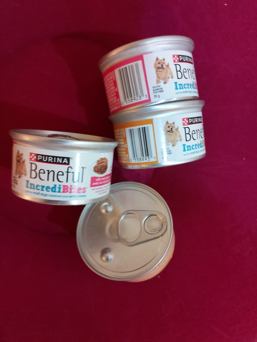 Free puppy food