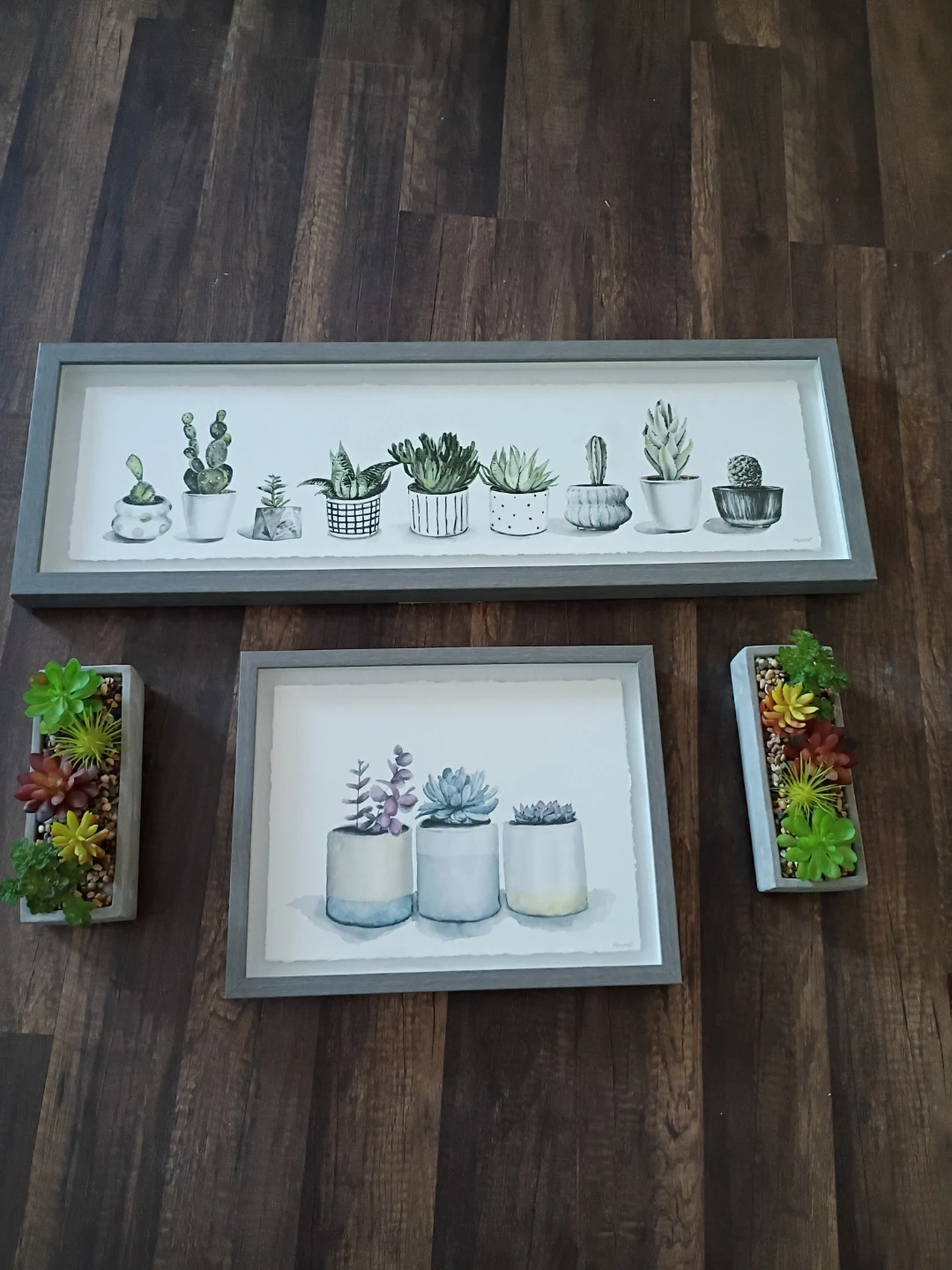 Succulent Plant Art & Faux Succulents