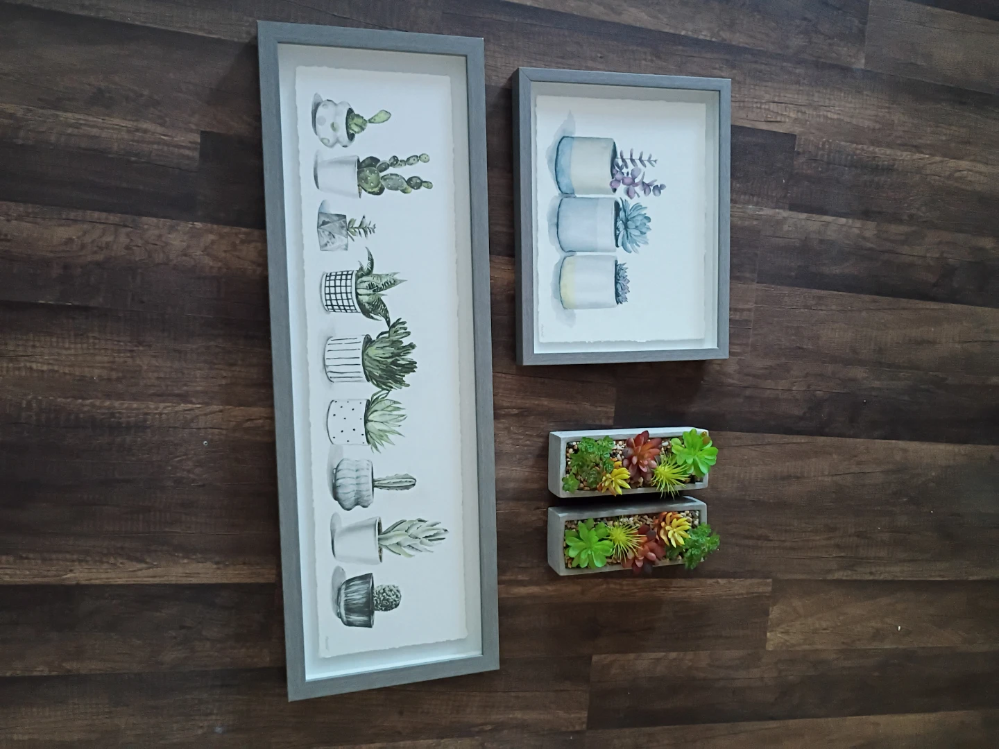 Succulent Plant Art & Faux Succulents - photo 2
