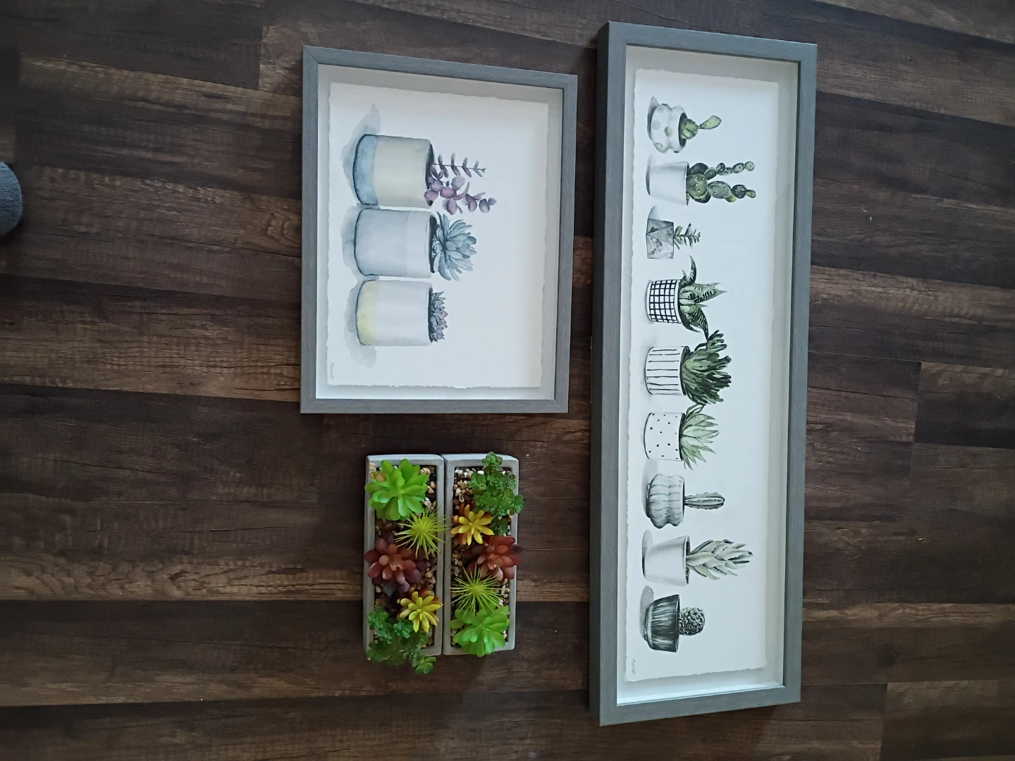 Succulent Plant Art & Faux Succulents - photo 3