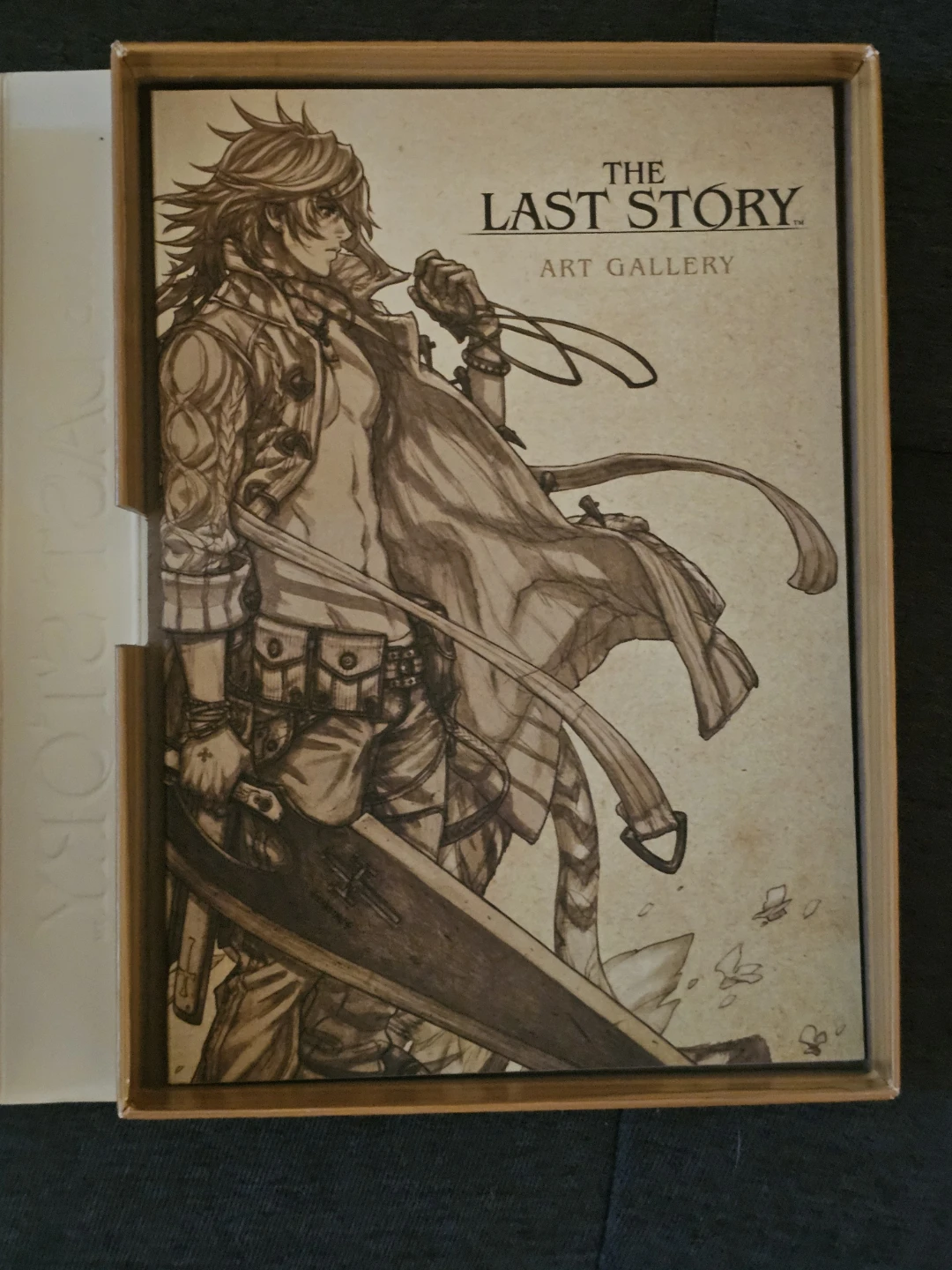 The Last Story Limited Edition (Wii) - photo 2