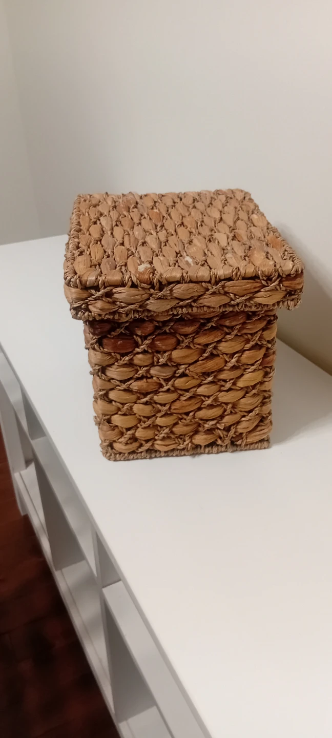 Woven Storage Box with Lid