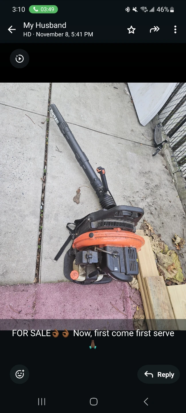 Echo Backpack Leaf Blower