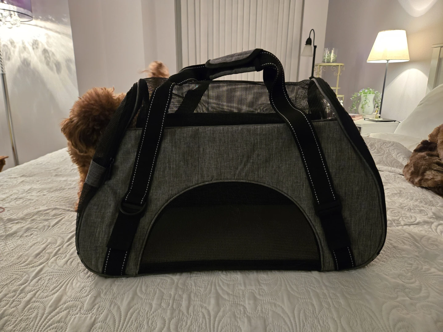Dogline Pet Carrier - Grey