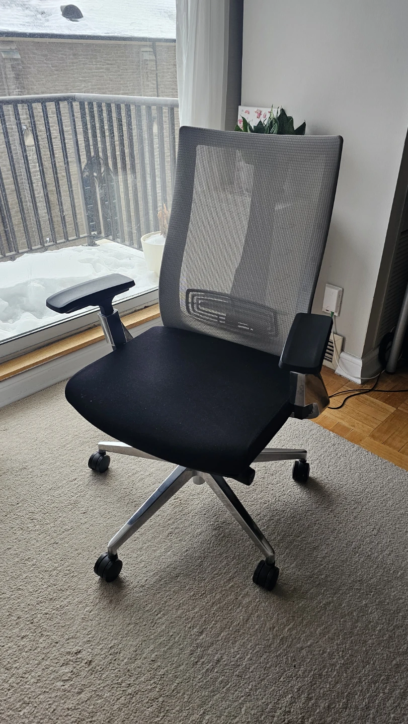 Ergonomic Mesh Office Chair