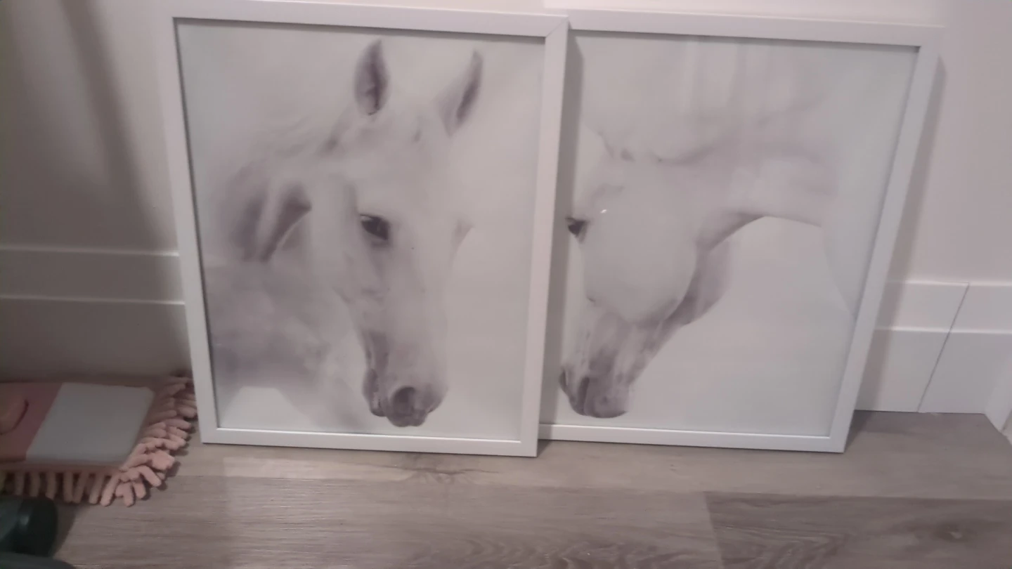 Horse Print Wall Art - Set of 2