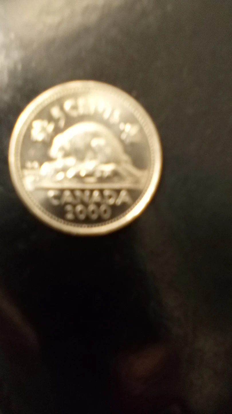 Canadian 5 Cent Coin - 2000P