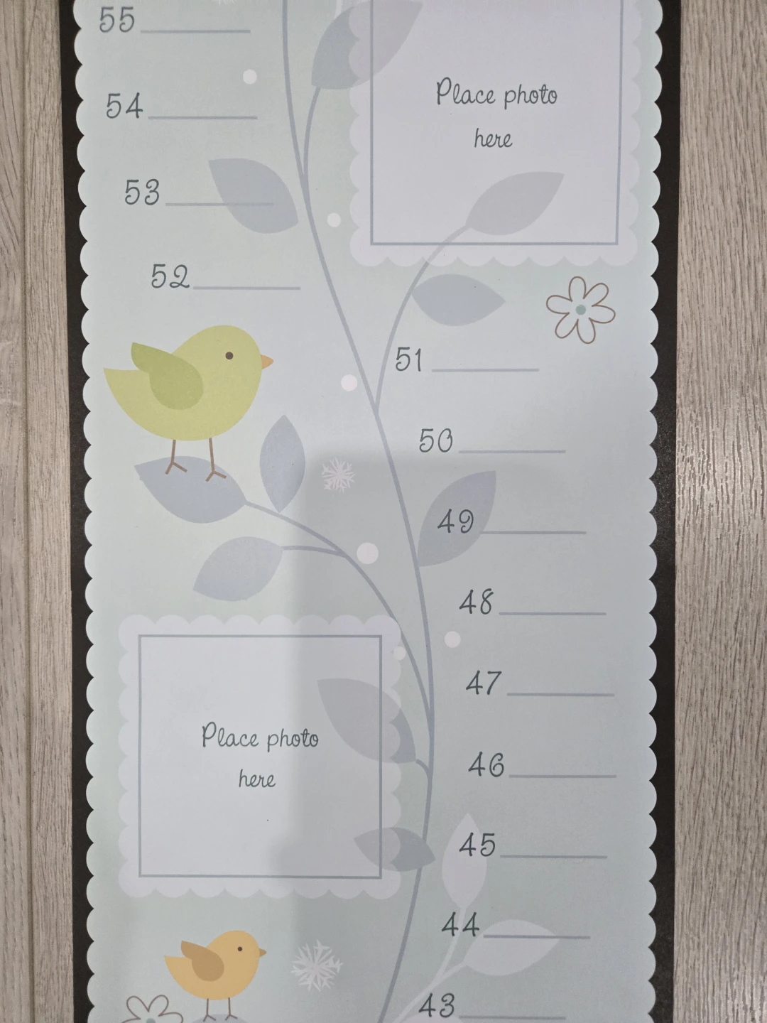 Ray & Bone Growth Chart - BNIB - photo 2