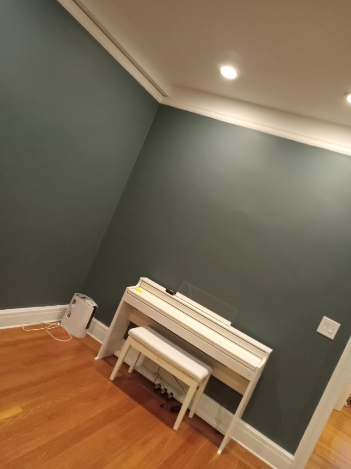 Get Your Room Painted!!!!!