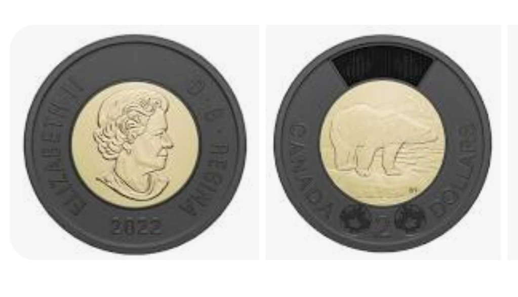 Roll of Canadian Loonie Coins - photo 3